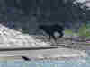 Inu5