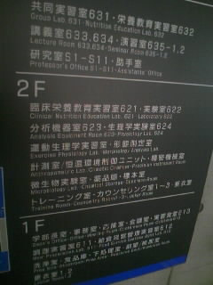 体力測定